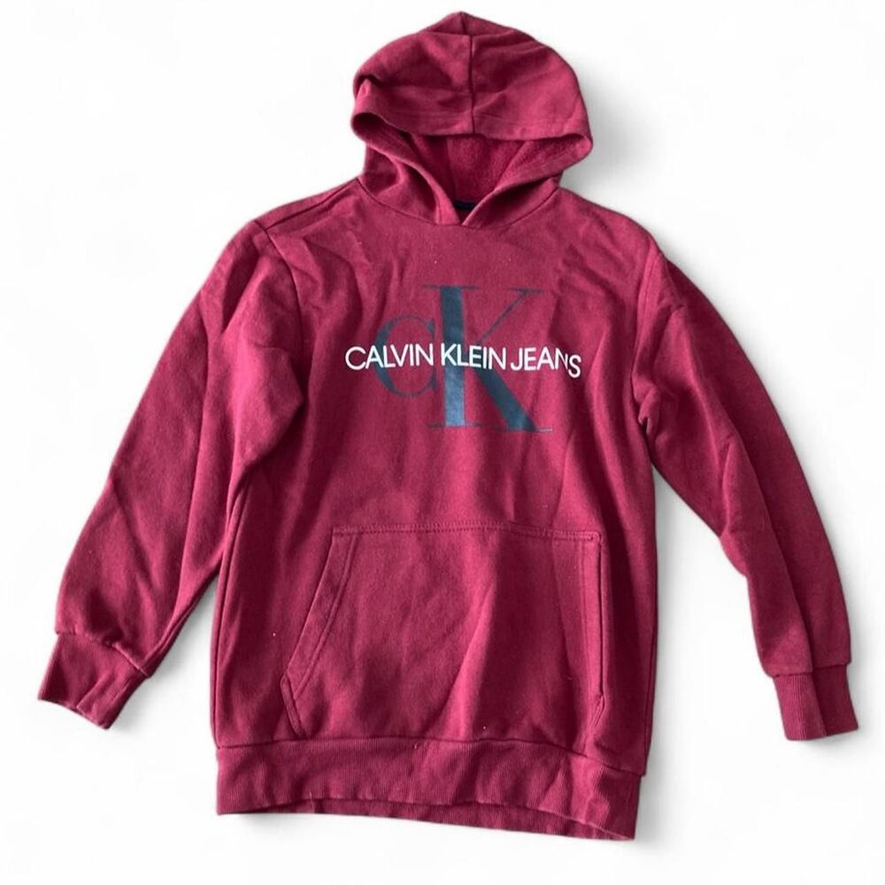 Calvin-klein kids Burgundy and Red Hoodie